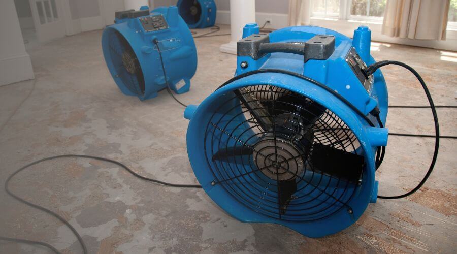 Why choose Basement Mold Remediation Centerville for basement mold remediation in Centerville